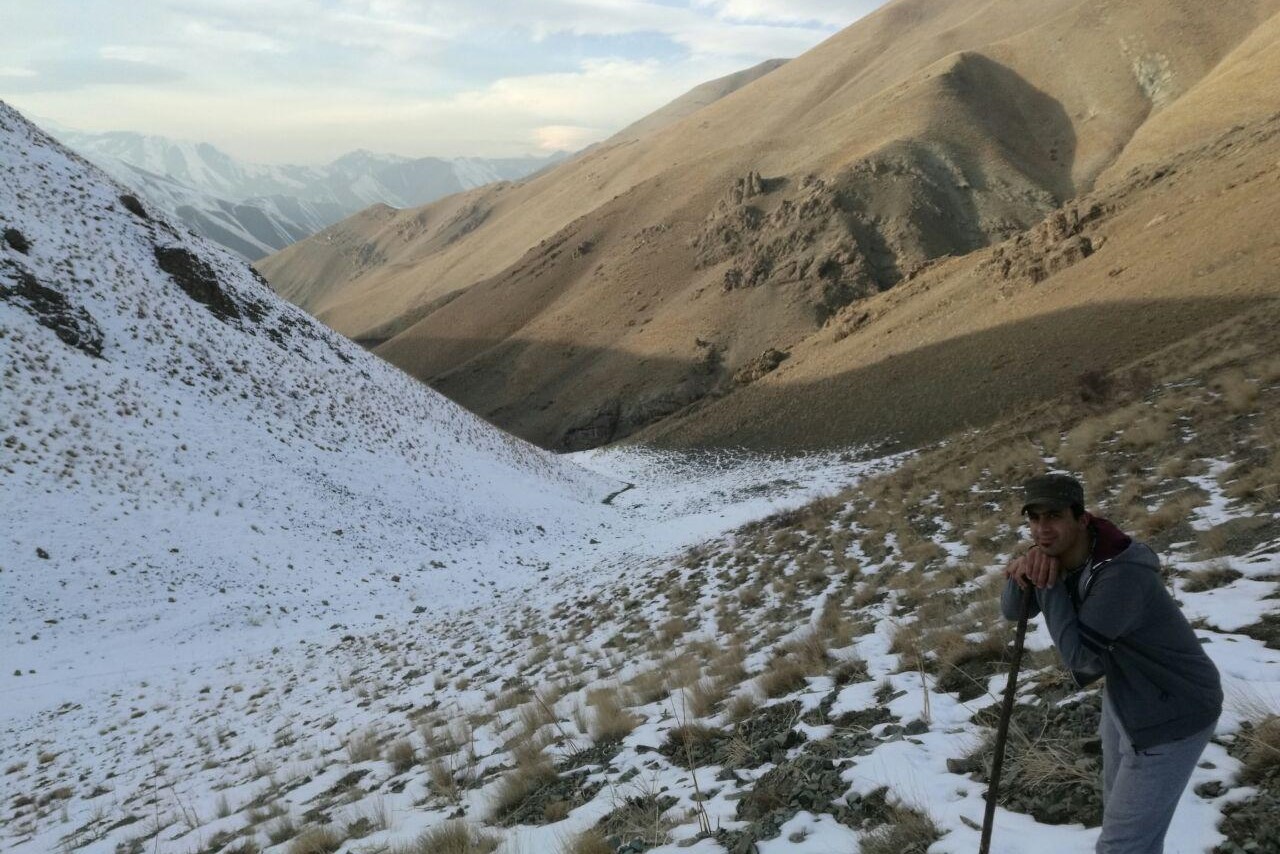 Alborz Mountains