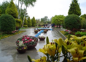 Golestan National Park