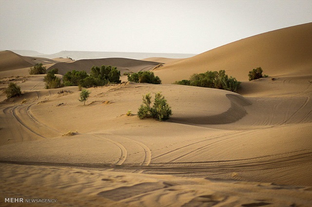 Mesr Desert