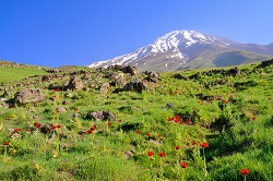 Tourism, Iran