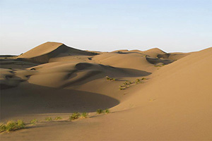 Yazd’s Desert Tour 